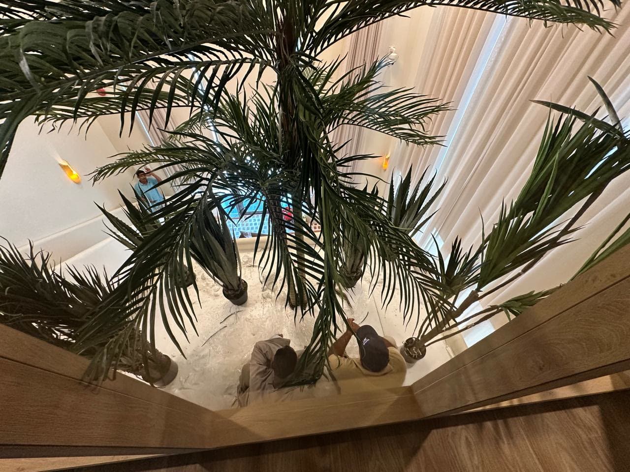 Planted palm atrium seen from the stair